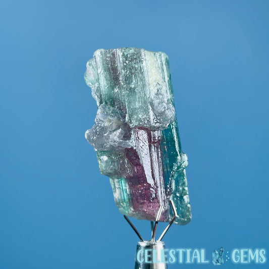 Cotton Candy Tourmaline Whole Crystal Small Specimen in Display Frame