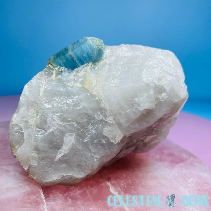 Aquamarine Specimen in Smoky Quartz Large Raw Chunk