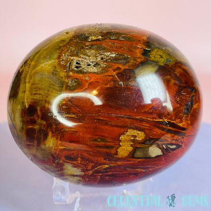 Petrified Wood Palmstone 6-7cm