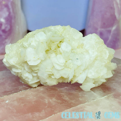 Angel Wing Calcite Small Cluster Specimen B
