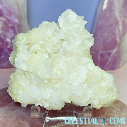 Angel Wing Calcite Medium Cluster Specimen F