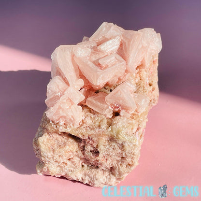 Rare Pink Halite on Trona Medium Specimen