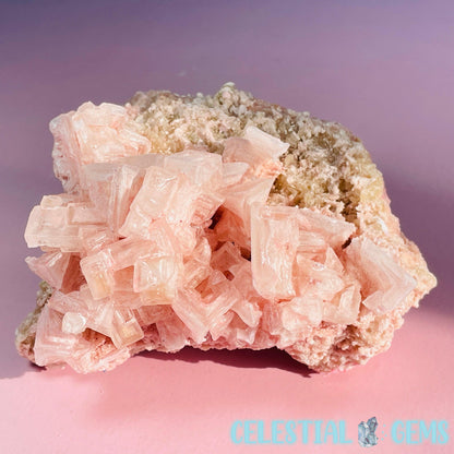 Rare Pink Halite on Trona Medium Specimen