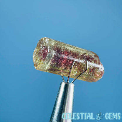 Watermelon Tourmaline Whole Crystal Mini Specimen in Display Frame (Video)