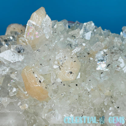 A Grade Diamond Apophyllite + Peach Stilbite Large Cluster