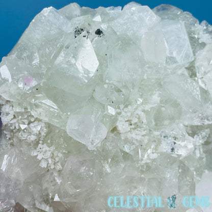 A Grade Diamond Apophyllite + White Chalcedony Medium Cluster