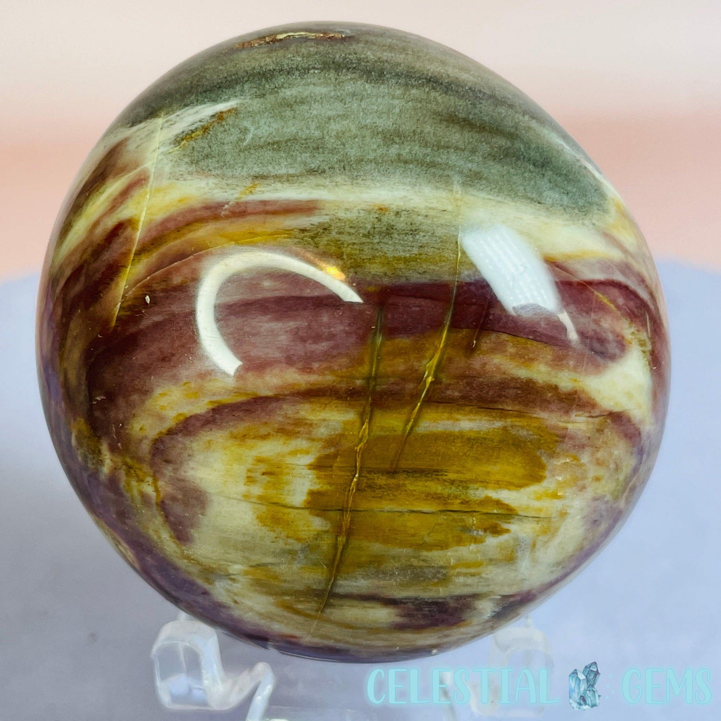 Petrified Wood Palmstone 5-5.5cm