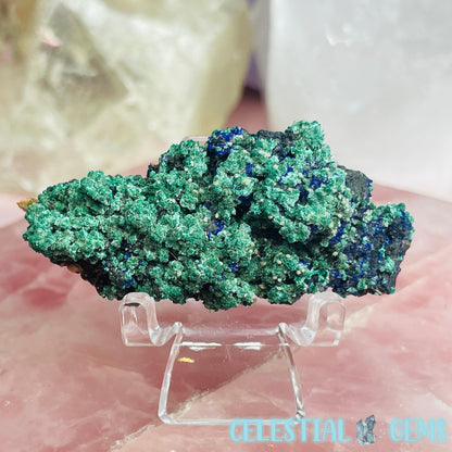 Druzy Azurite + Dolomite + Velvet Malachite Small Specimen G