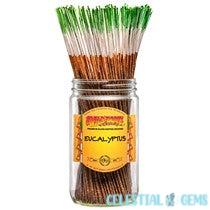 WildBerry Incense Traditional Stick (28cm) x50 - Eucalyptus