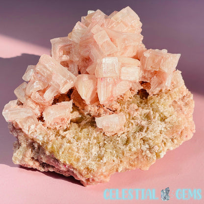 Rare Pink Halite on Trona Medium Specimen