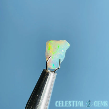 AAA Ethiopian 'Fire' Welo Opal Polished Mini Crystal in Specimen Pottle (Video)