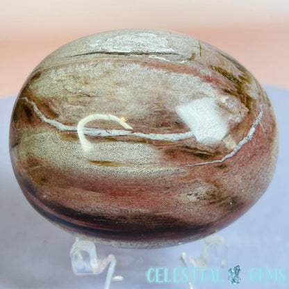 Petrified Wood Palmstone 5-5.5cm