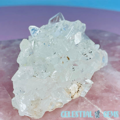 A Grade Diamond Apophyllite + Peach Stilbite Small Cluster