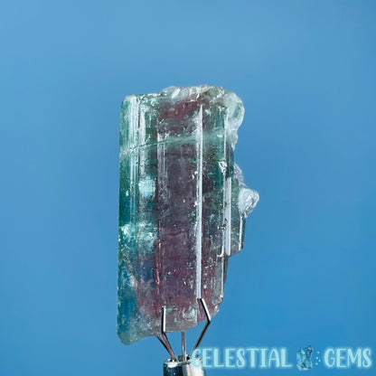 Cotton Candy Tourmaline Whole Crystal Small Specimen in Display Frame