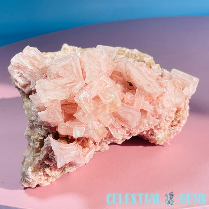 Rare Pink Halite on Trona Medium Specimen