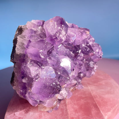 Dark Amethyst Medium Standing Cluster (Video)