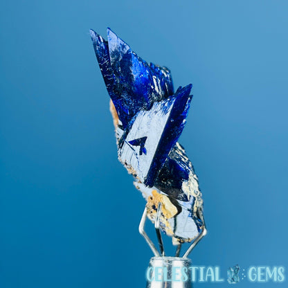 Grade A Gem Azurite Crystalline Cluster Mini Specimen (Video)