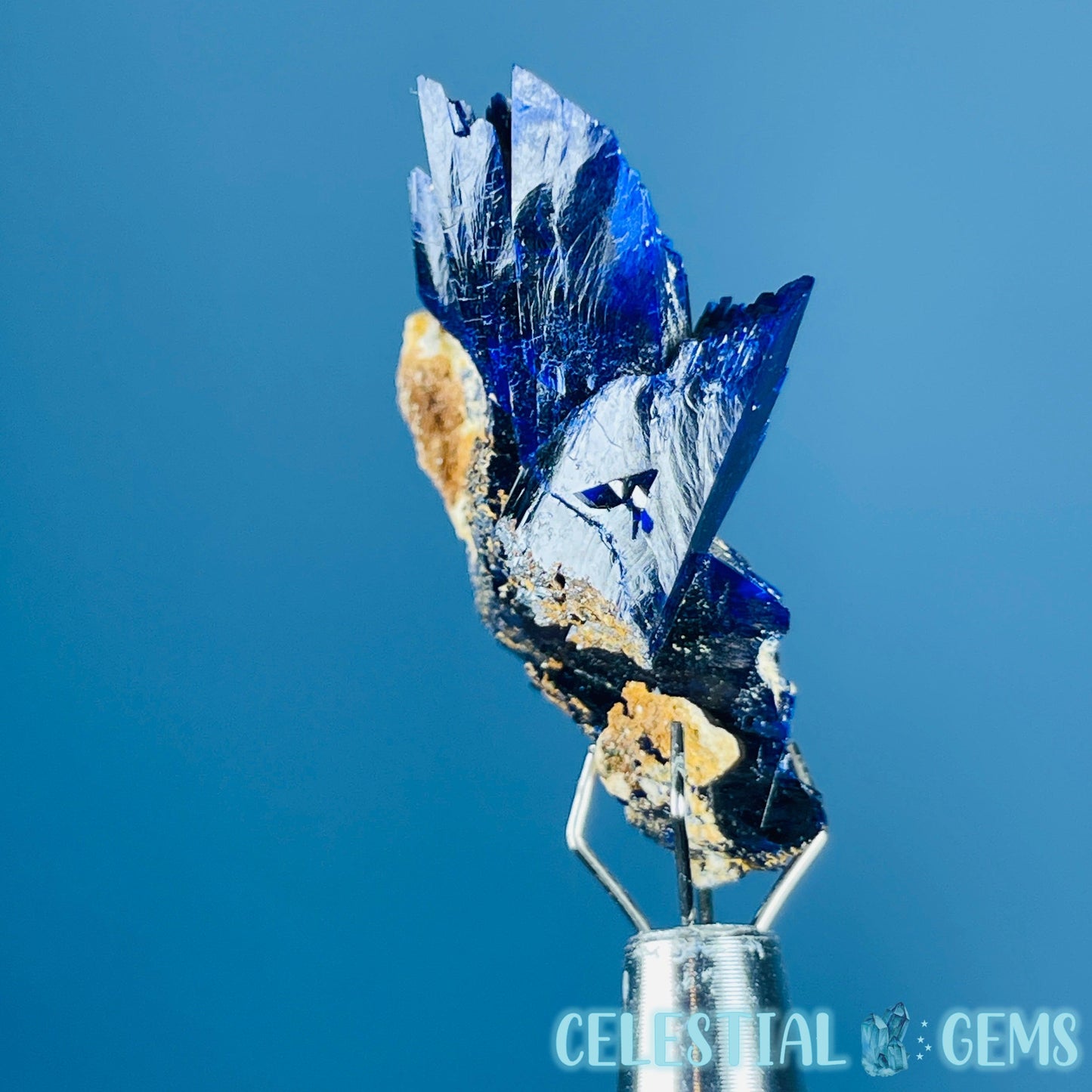 Grade A Gem Azurite Crystalline Cluster Mini Specimen (Video)