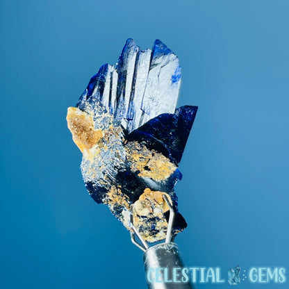 Grade A Gem Azurite Crystalline Cluster Mini Specimen (Video)