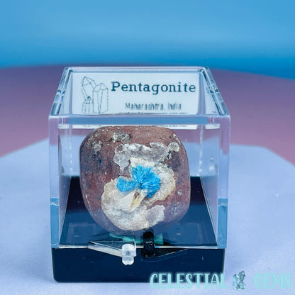 Rare Pentagonite on Stilbite Mini Specimen in Box