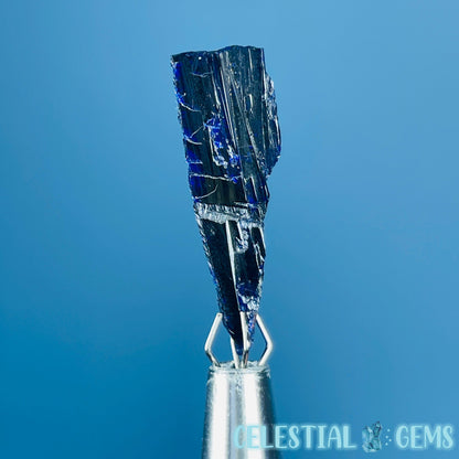 Grade A Gem Azurite Crystalline Mini Specimen (Video)