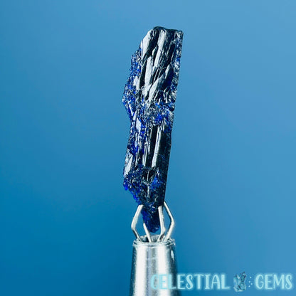 Grade A Gem Azurite Crystalline Mini Specimen (Video)