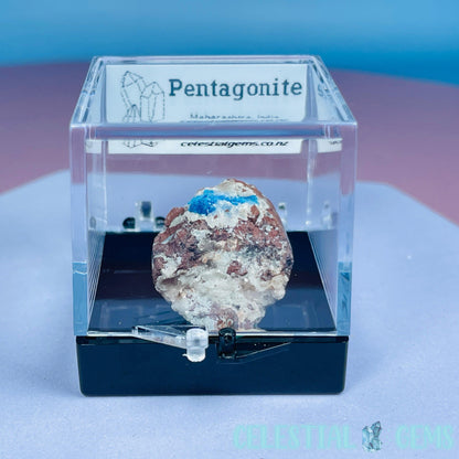 Rare Pentagonite on Stilbite Mini Specimen in Box