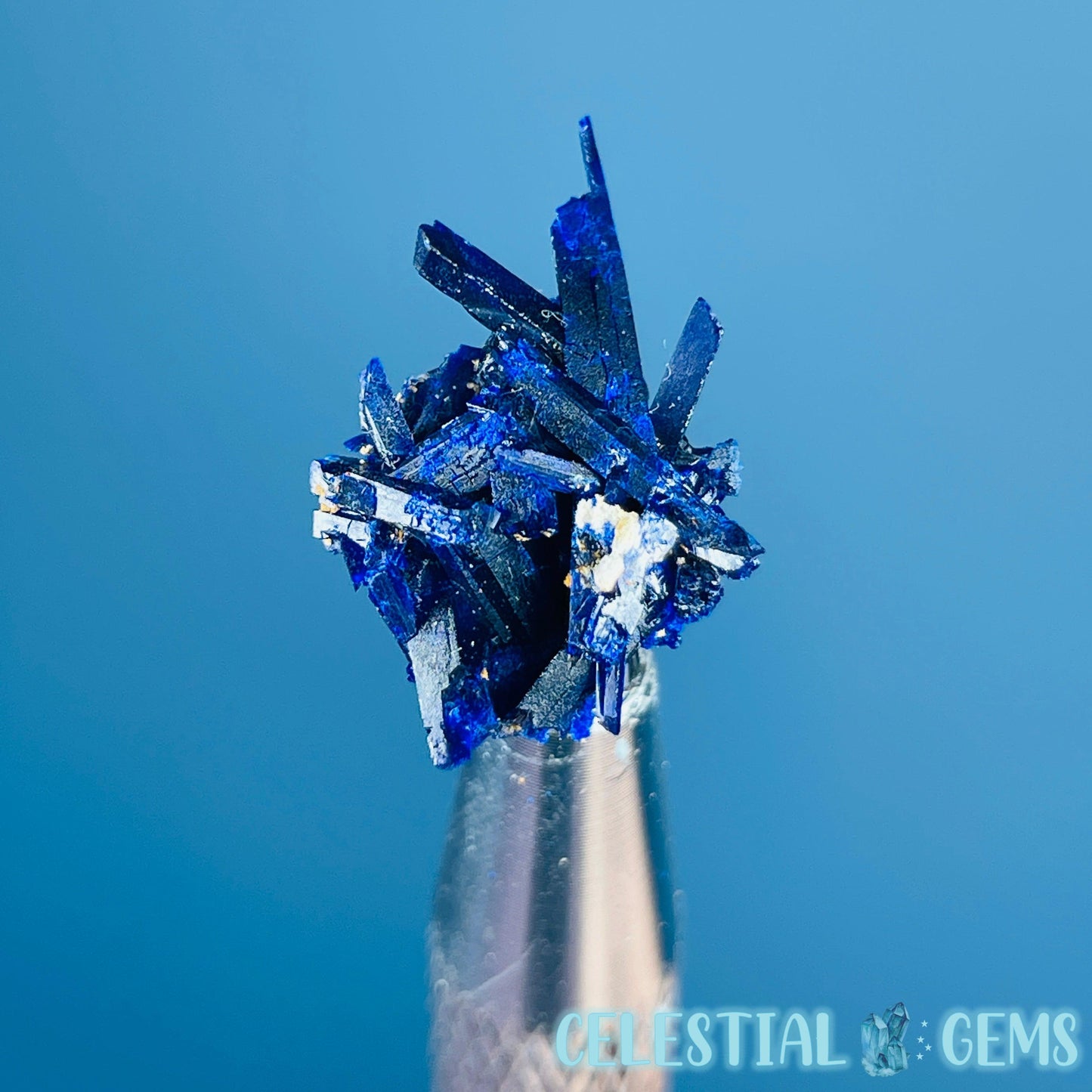 Grade A Gem Azurite Crystalline Cluster Mini Specimen (Video)