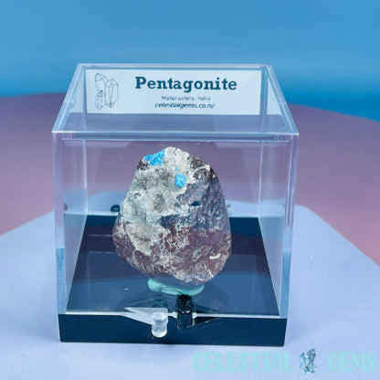 Rare Pentagonite on Stilbite Small Specimen in Box