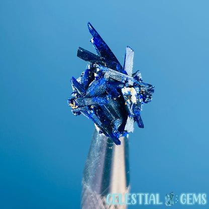 Grade A Gem Azurite Crystalline Cluster Mini Specimen (Video)