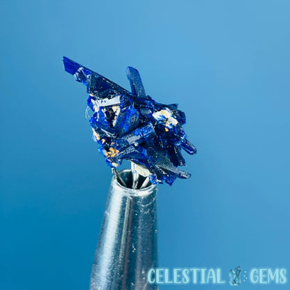 Grade A Gem Azurite Crystalline Cluster Mini Specimen (Video)