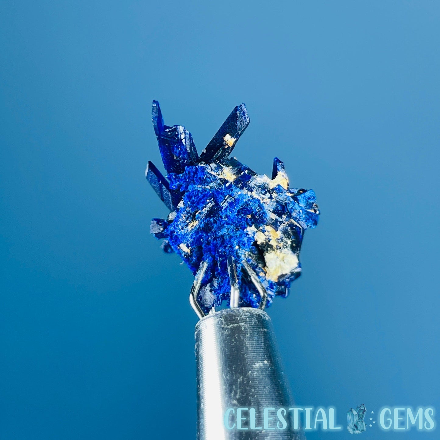 Grade A Gem Azurite Crystalline Cluster Mini Specimen (Video)