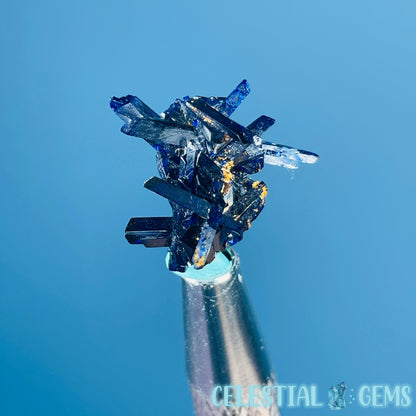 Grade A Gem Azurite Crystalline Cluster Mini Specimen (Video)