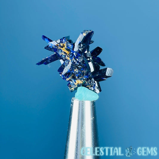 Grade A Gem Azurite Crystalline Cluster Mini Specimen (Video)