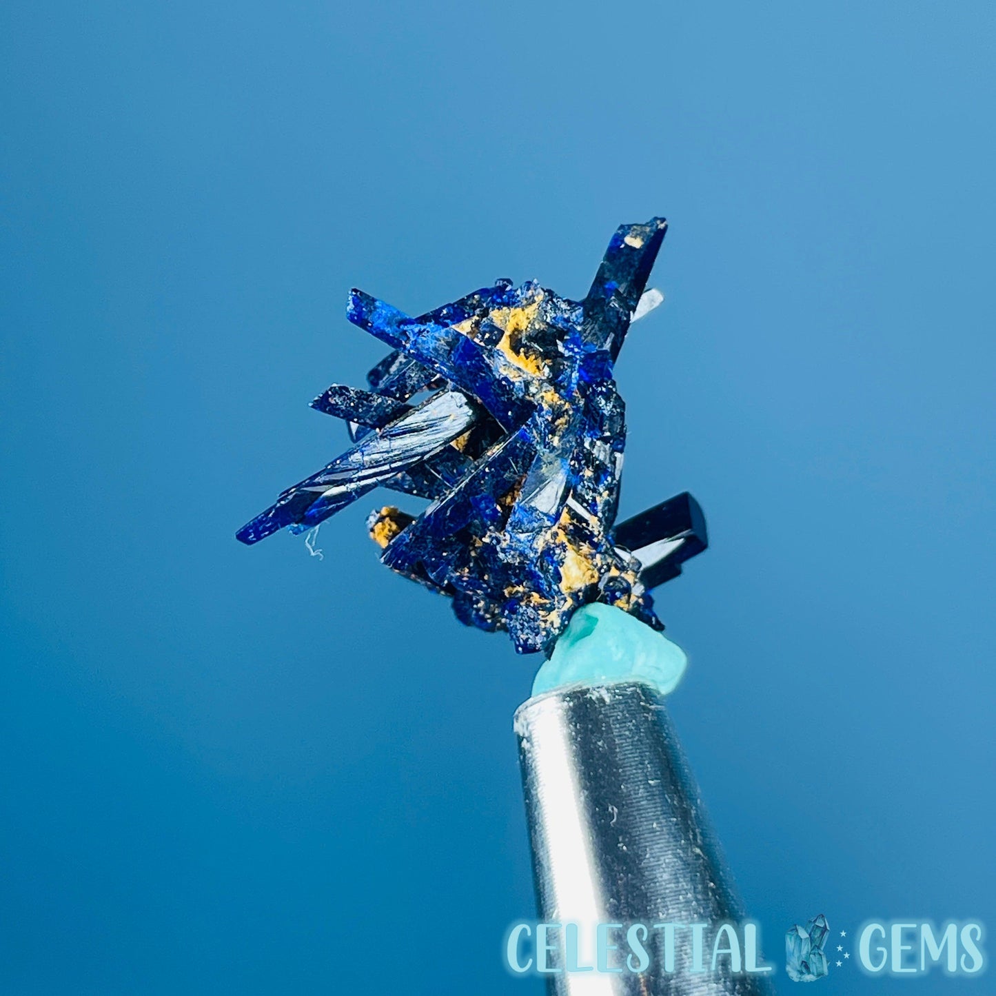 Grade A Gem Azurite Crystalline Cluster Mini Specimen (Video)