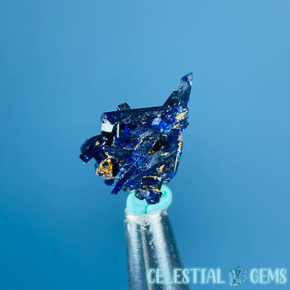 Grade A Gem Azurite Crystalline Cluster Mini Specimen (Video)