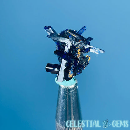 Grade A Gem Azurite Crystalline Cluster Mini Specimen (Video)