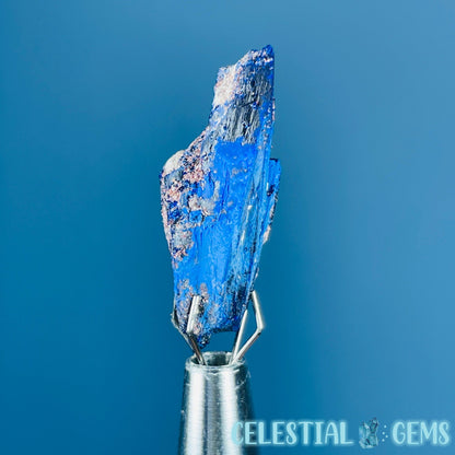 Grade A Gem Azurite Crystalline Mini Specimen (Video)