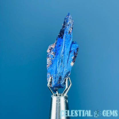 Grade A Gem Azurite Crystalline Mini Specimen (Video)