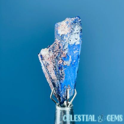 Grade A Gem Azurite Crystalline Mini Specimen (Video)