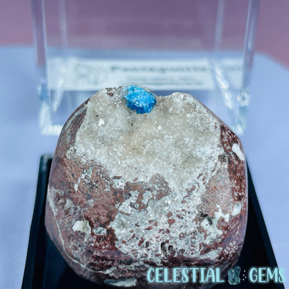 Rare Pentagonite on Stilbite Mini Specimen in Box