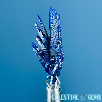 Grade A Gem Azurite Crystalline Cluster Mini Specimen (Video)