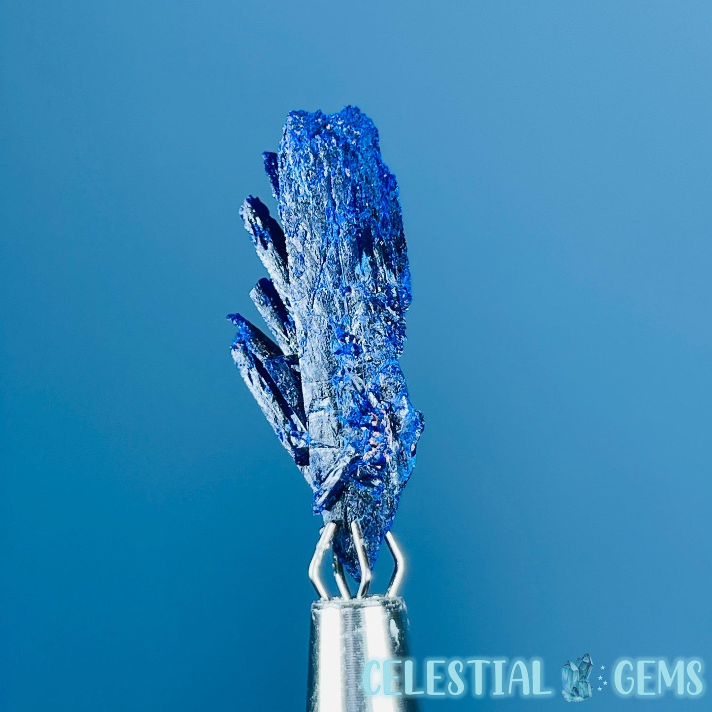 Grade A Gem Azurite Crystalline Cluster Mini Specimen (Video)