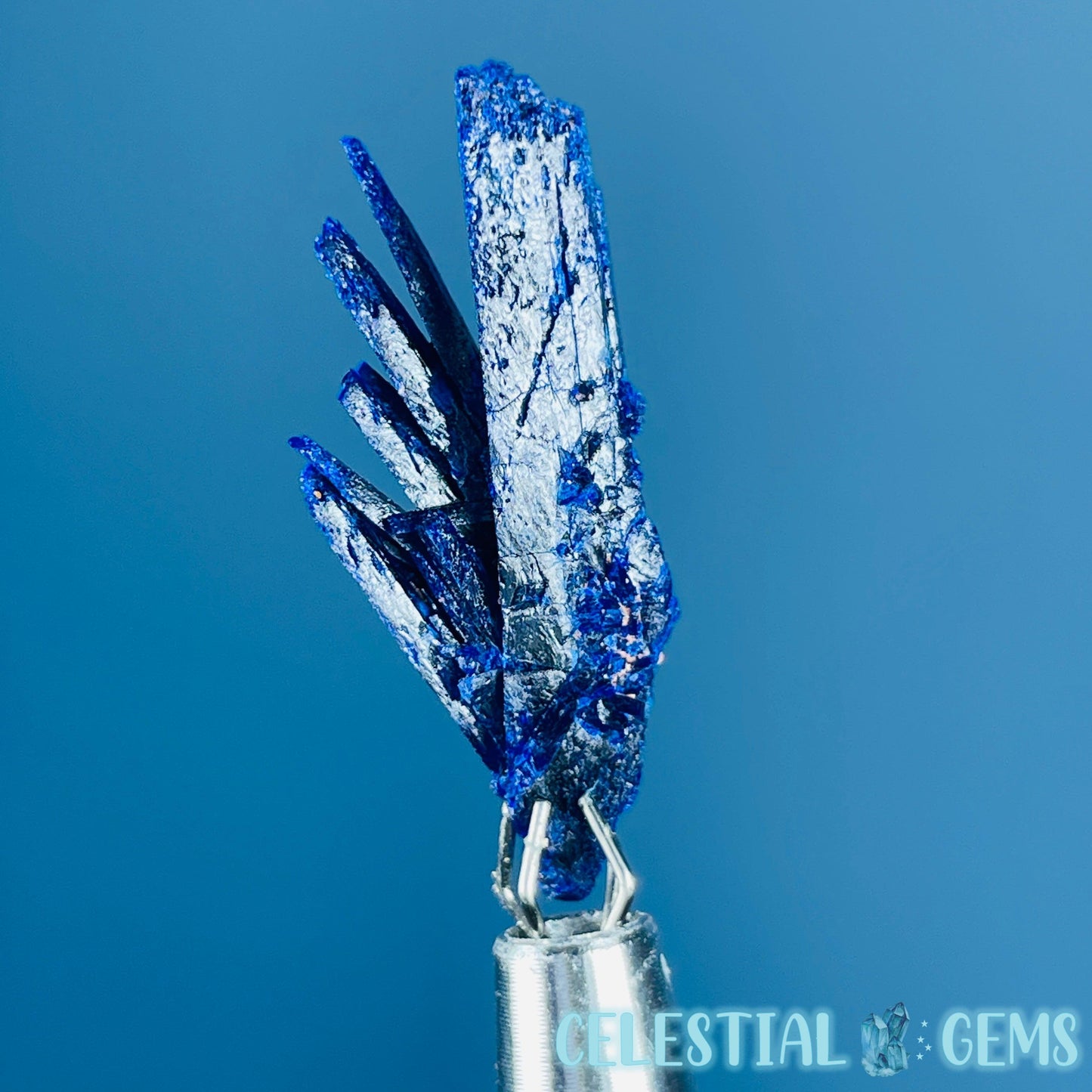 Grade A Gem Azurite Crystalline Cluster Mini Specimen (Video)