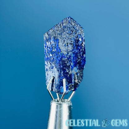 Grade A Gem Azurite Crystalline Mini Specimen (Video)