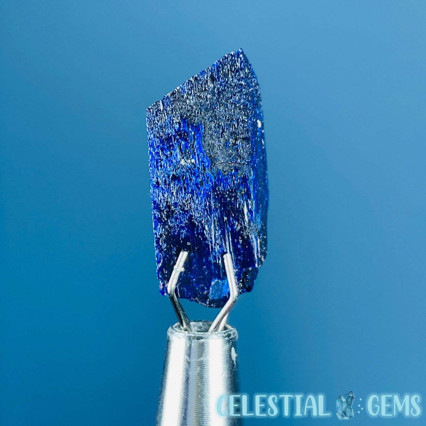 Grade A Gem Azurite Crystalline Mini Specimen (Video)