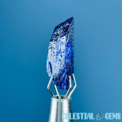 Grade A Gem Azurite Crystalline Mini Specimen (Video)