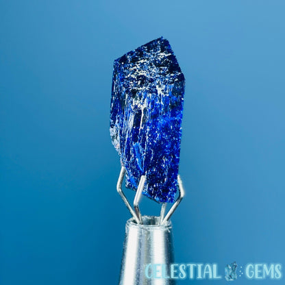 Grade A Gem Azurite Crystalline Mini Specimen (Video)