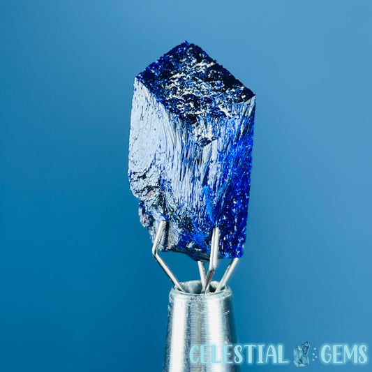 Grade A Gem Azurite Crystalline Mini Specimen (Video)