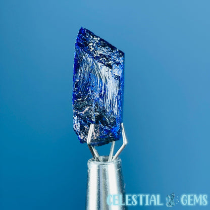 Grade A Gem Azurite Crystalline Mini Specimen (Video)